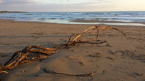 tramonto nuvole mare cielo spiaggia rami onde sabbia impronte ramisecchi flickrandroidapp:filter=none