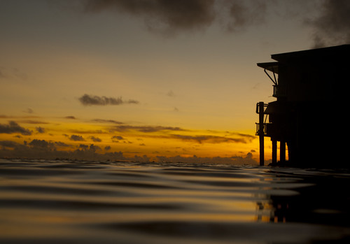 ocean water silhouette june sunrise shadows pacific lagoon longisland solstice micronesia majuro marshallislands rmi rairok