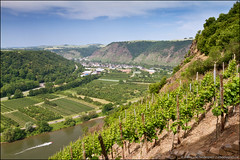 moselle valley