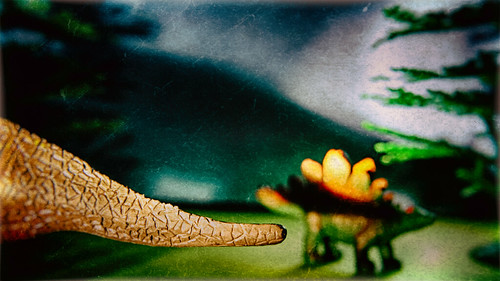 old trees macro texture closeup toy toys nikon dino tail small scratches d200 scratched stegosaurus hdr dinosaurs textured velociraptor hoya odc closeuplens hbmike2000