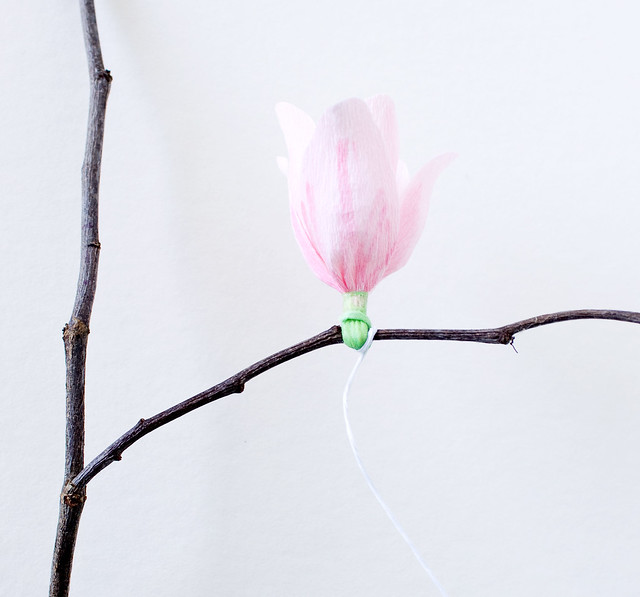 DIY Paper Magnolia Blossoms