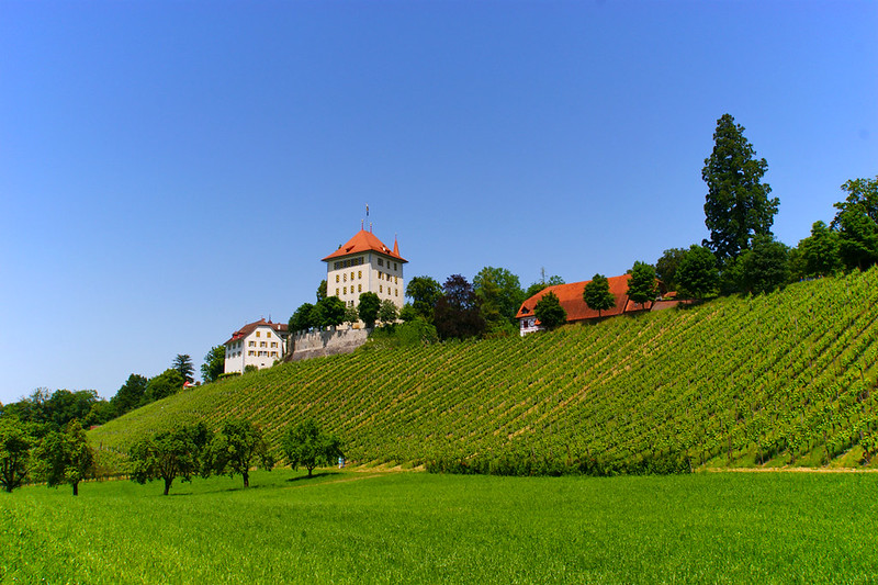 Schloss Heidegg