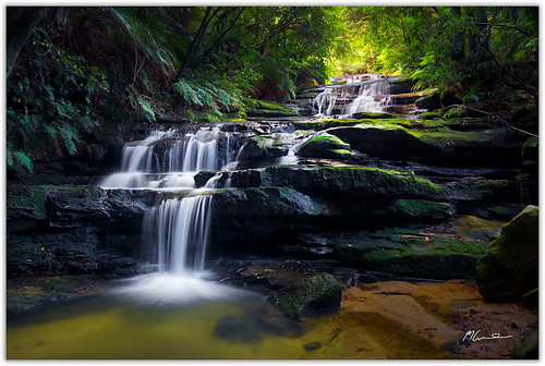 autumn fern water rock waterfall bluemountains cascades nsw leura mtwilson