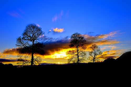 trees winter sunset sky west scotland hill lomond hotshot sonyalpha65