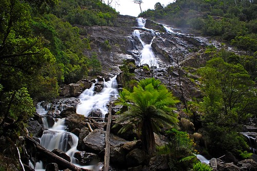 waterfall tasmania cascade stcolumbafalls pyengana