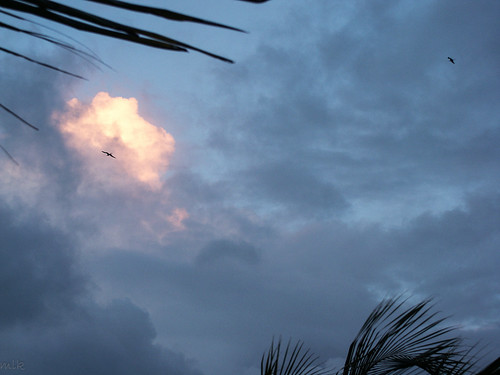 2002 puertorico usa color nature night sky sunset fajardo