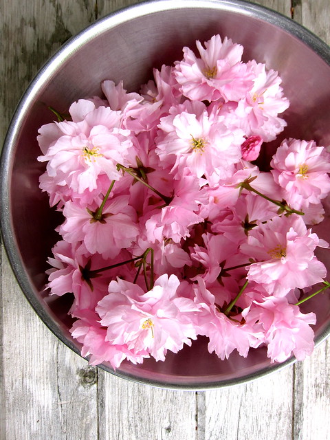 Sakura or Cherry Blossom Jellies