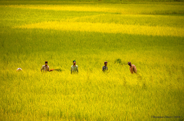 Rural and Village Life Photography