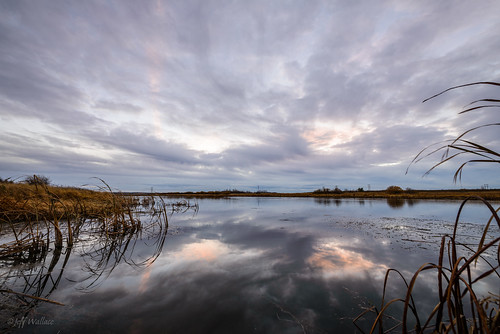pink sunset cold reflection water river reeds alberta dull sturgeon stratus
