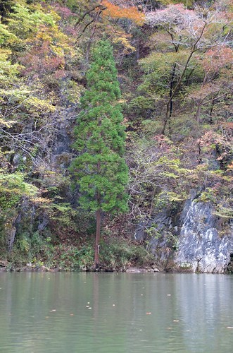 iwate hiraizumi 岩手 geibikei 平泉 猊鼻渓 157555mmf3555 gxra16