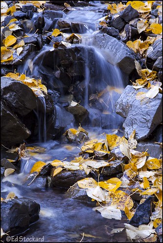 autumn fall water leaves creek waterfall washington cascades wa methow northcascades hartspass