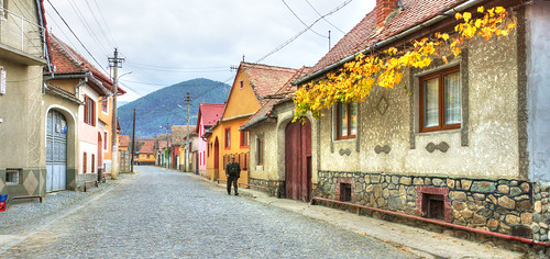 houses architecture landscape raw village vine historical streetscape sibiu rasinari tonemapped romania2013