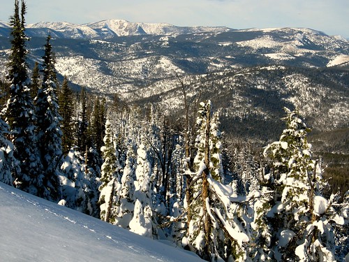 winter white snow cold scenery montana scenic snowshoeing wilderness scenicviews wildlands