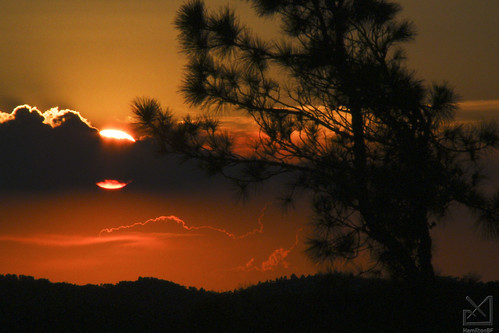 sunset sun sol pine pôrdosol pinheiro picodoitapeva
