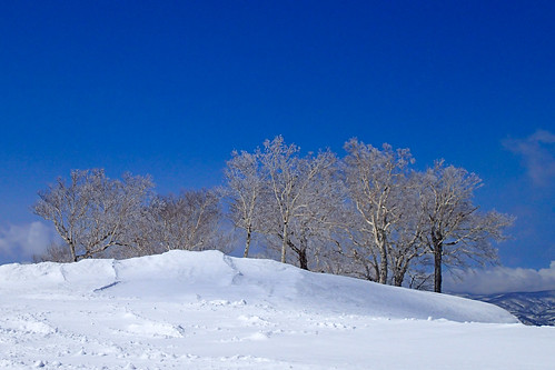 japan hokkaidoprefecture skiスキー yoichidistrict hokkaodo北海道 kirororesortキロロ・リゾート tg2p3310551