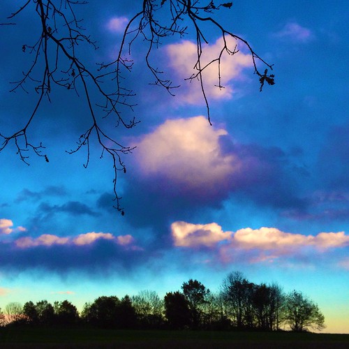 trees sunset sky nature clouds landscape lookingup beautyinnature iphoneography iphone4s