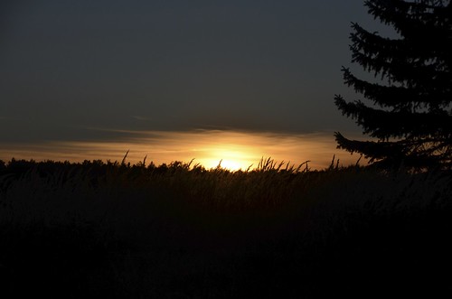 sunset forest germany nationalpark müritz granzin nikond5100