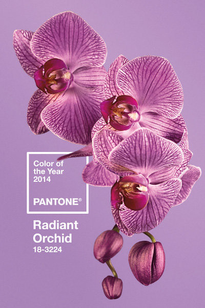 pantone_radiant_orchid_03