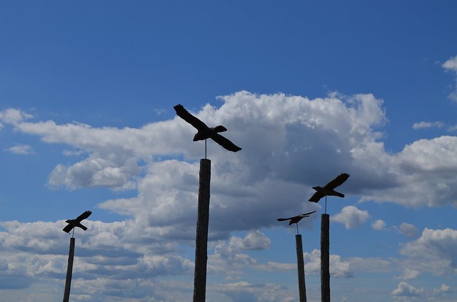 European Instagram meetup #EverchangingBerlin_Tempelhofer Feld bird art