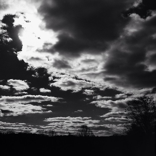 trees bw sun clouds square squareformat iphoneography instagramapp uploaded:by=instagram