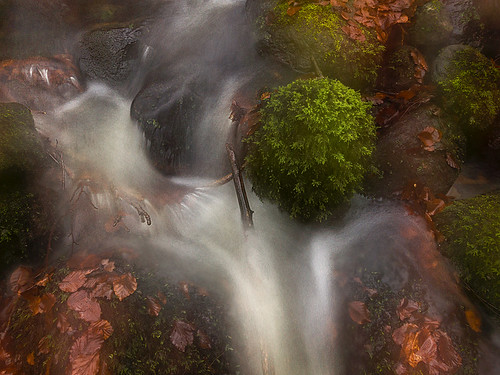 autumn water creek river flow moss stream sweden stones autumnleaves icm halland mygearandme