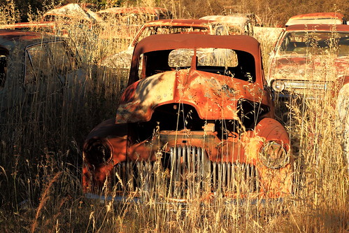 abandoned car automobile australia rusted derelict holden