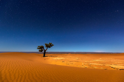 africa sahara nature night landscape star sand desert morocco soussmassadraa