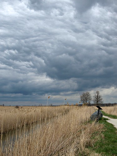 sky storm weather clouds michigan wetlands marsh mudflats stjohnsmarsh stclaireflats algomac