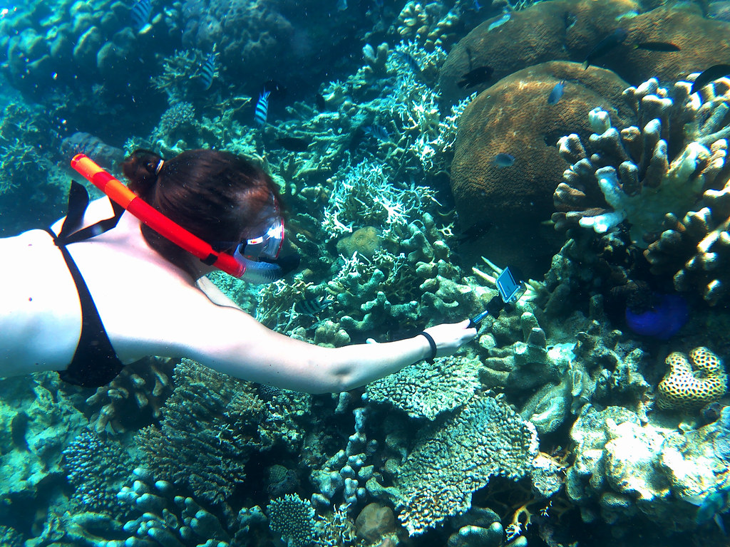 Karimunjawa Coral reef