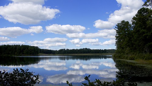 blue trees summer sky lake reflection nature water beautiful clouds canon georgia landscape mirror day t3 tribblemill 1100d pwpartlycloudy