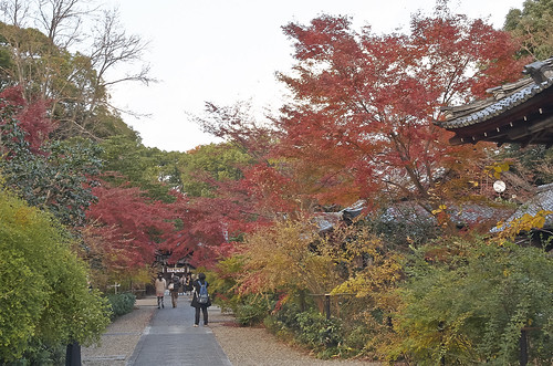 【写真】2013 紅葉 : 梨木神社/2020-09-17/IMGP4290