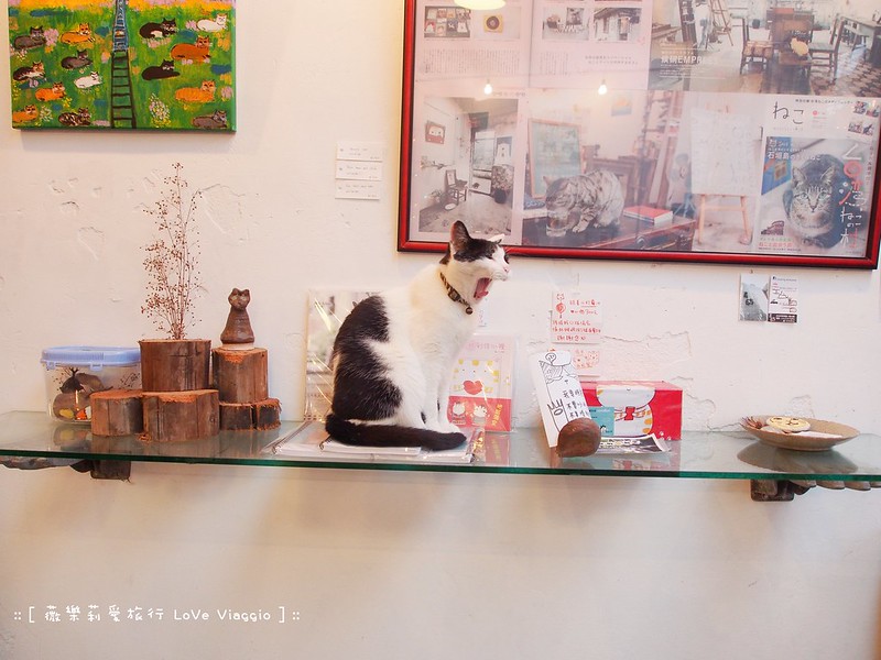 【台北 Taipei/Houtong】猴硐 ● 貓村散步尋找貓足跡 217咖啡 @薇樂莉 Love Viaggio | 旅行.生活.攝影