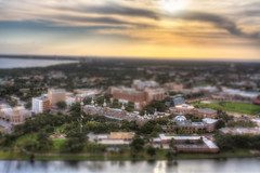 University of Tampa and Beyond Tilt Shift
