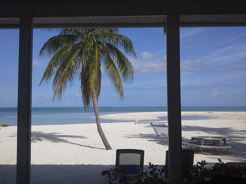 beach outdoors sand palmtree tropical caymanislands backporch flickrandroidapp:filter=none