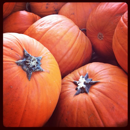 fall nebraska lewisandclarkstatepark pumpkinshideawayacres