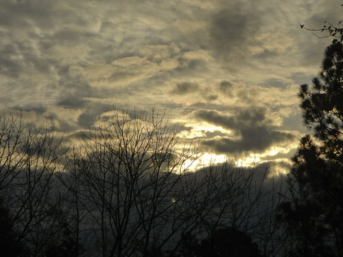 morning trees sun clouds sunrise arkansas batesville lyoncollege