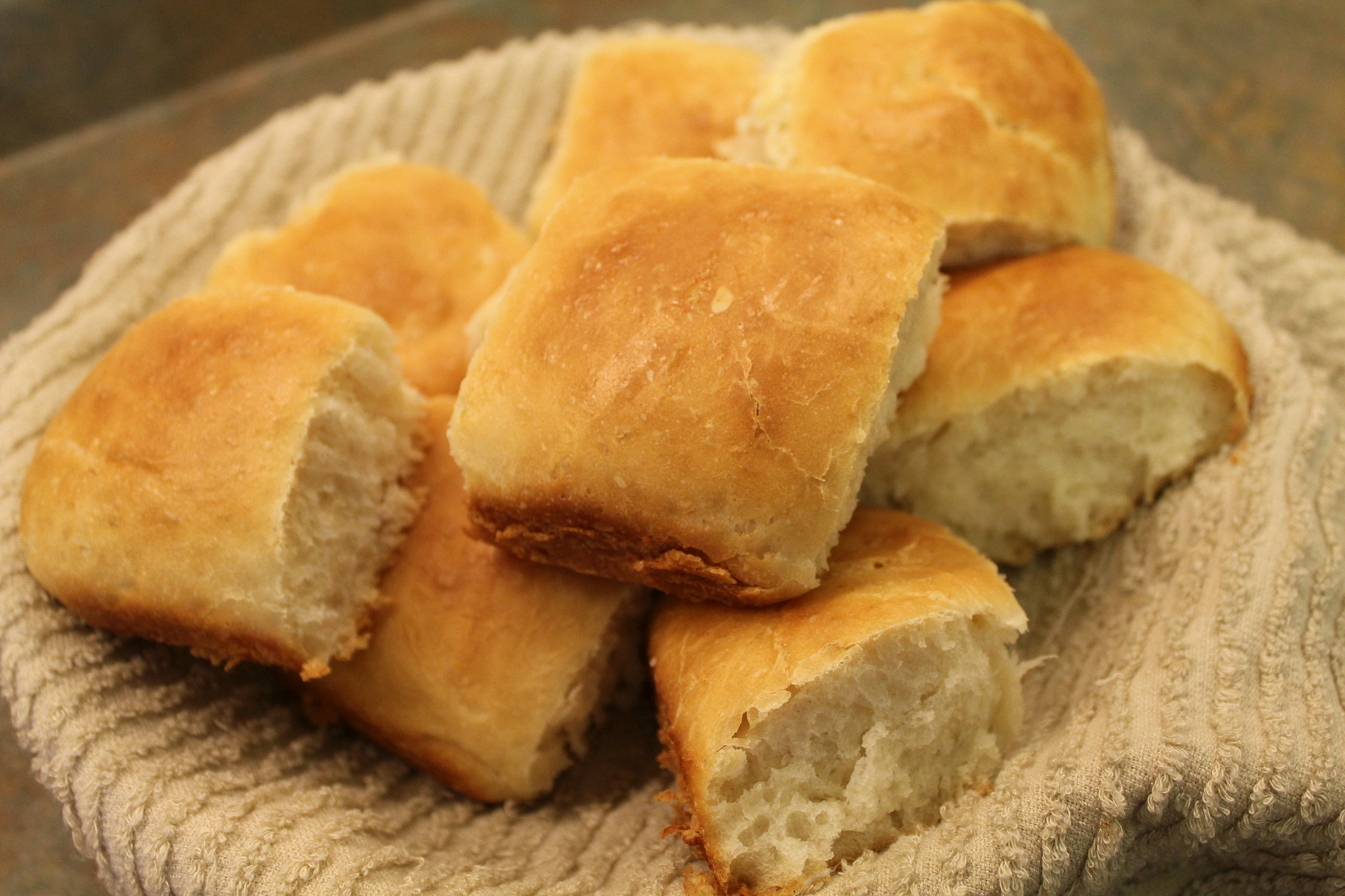 Turtles and Tails: Easy Homemade Dinner Rolls