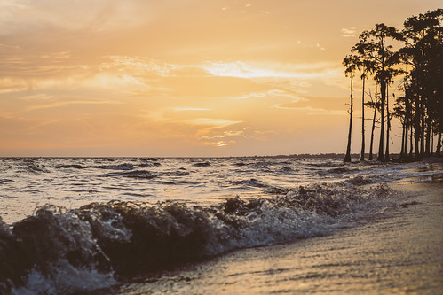 travel trees sunset summer vacation sky sun lighthouse lake beach nature water horizontal clouds canon landscape gold spring louisiana rocks waves cloudy relaxing peaceful nopeople mandeville copyspace tranquil ef2470mmf28lusm weddingphotographer lakepontchartrain beautyinnature 5dmarkiii northshoreweddingphotographer tyalexanderphotography madisonvillelouisianaphotographer mandevillelouisianaphotographer covingtonlouisianaphotographer bedicolouisianaphotographer ponchatoulalouisianaphotographer hammondlouisianaphotographer slidelllouisianaphotographer folsomlouisianaphotographer abitaspringslouisianaphotographer