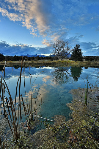 sunset newzealand reflection landscape pond mollybrown newcastletrack
