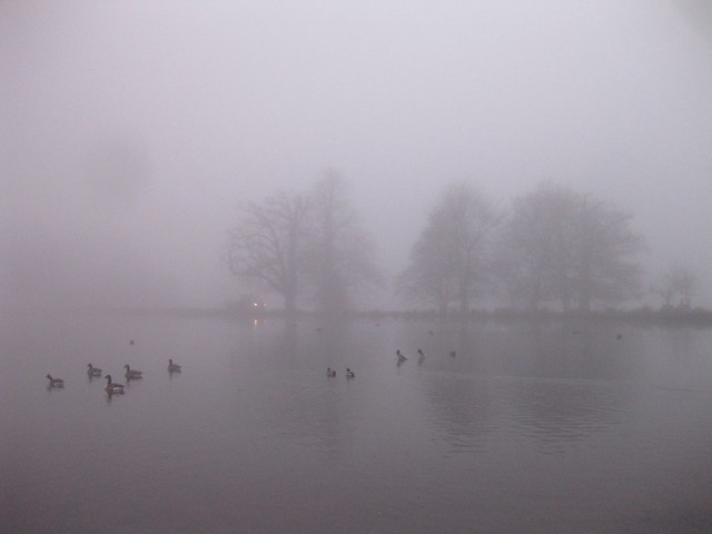 Beautiful misty morning in the park on my run the other day.