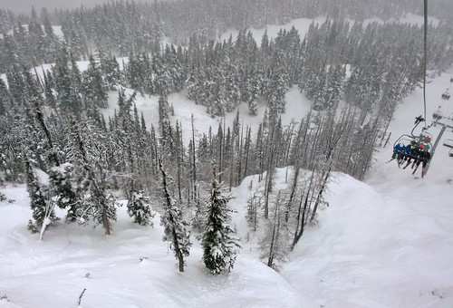 trees mountain snow forest whistler chair view blackcomb chairlift