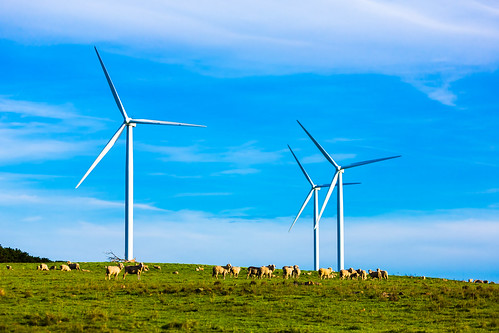 blue sky green nature windmill grass rural energy power sheep outdoor country hill turbines