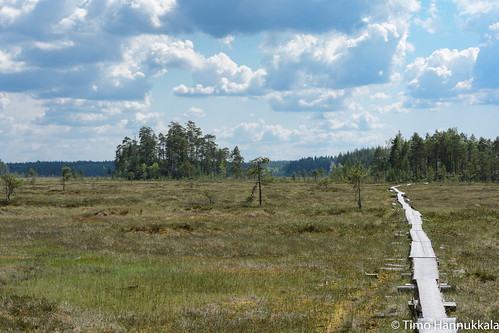 nature finland nikon fi walkingpath ruovesi siikaneva pirkanmaa d7100 soidensuojelualue