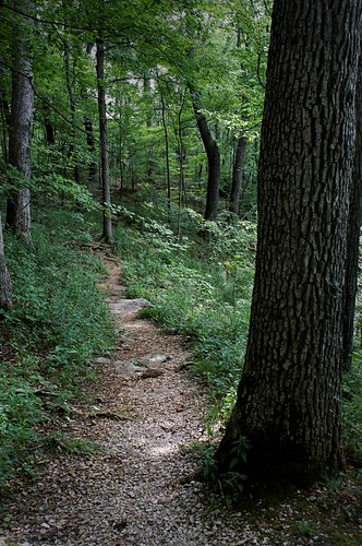 statepark trees summer path indiana hike trail mccormickscreek