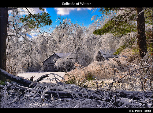 camera trees winter snow ontario canada forest cabin bluesky icestorm milton kelsoconservationarea voigtlanderapolanthar90mmf35 nikond800e dec2013