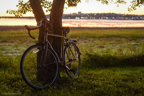backcove bicycle city cycling maine newengland portland portlandmaine summer sunrise bike nikon d600 tree grass waterfront