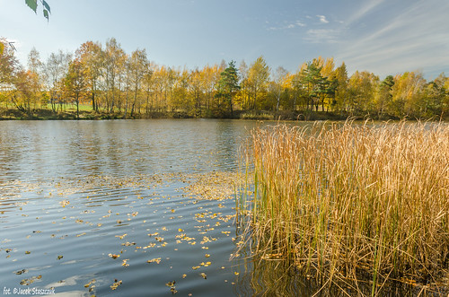 autumn trees tree colors landscape pond poland polska woda wather jesień staw polarizingfilter drzewa krajobraz lowersilesia dolnyśląsk sigma175028 nikond7000 filtrpolaryzacyjny