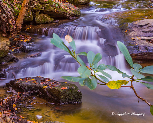 nature water river outdoors us waterfall unitedstates outdoor cleveland scenic southcarolina cascade augphotoimagery