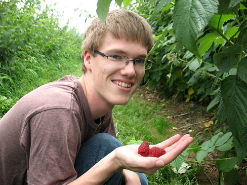 raspberry picking