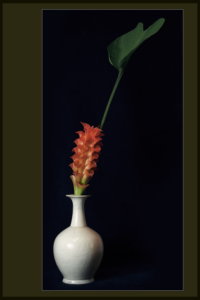 Ding-simplicity, Curcuma longa and Ding vase of Northern Song dynasty